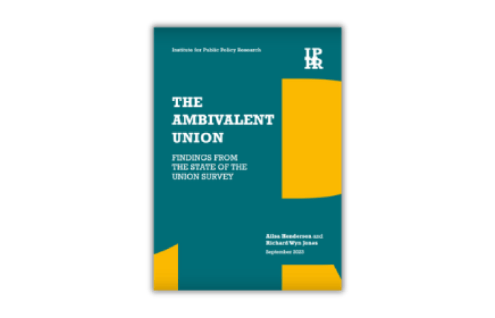 Cover of the ambivalent union