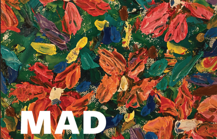 Mad Matters seminar 16Nov2026