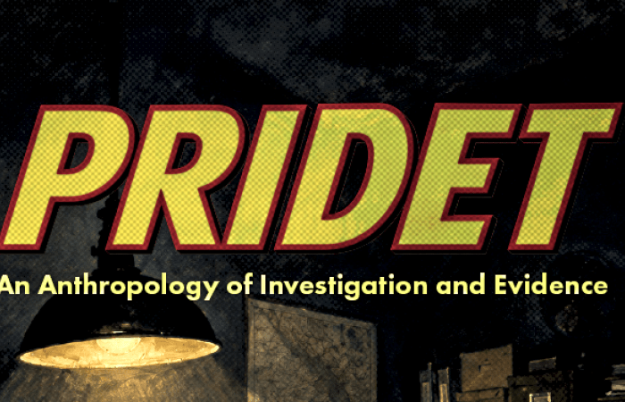 Image for the PRIDET project