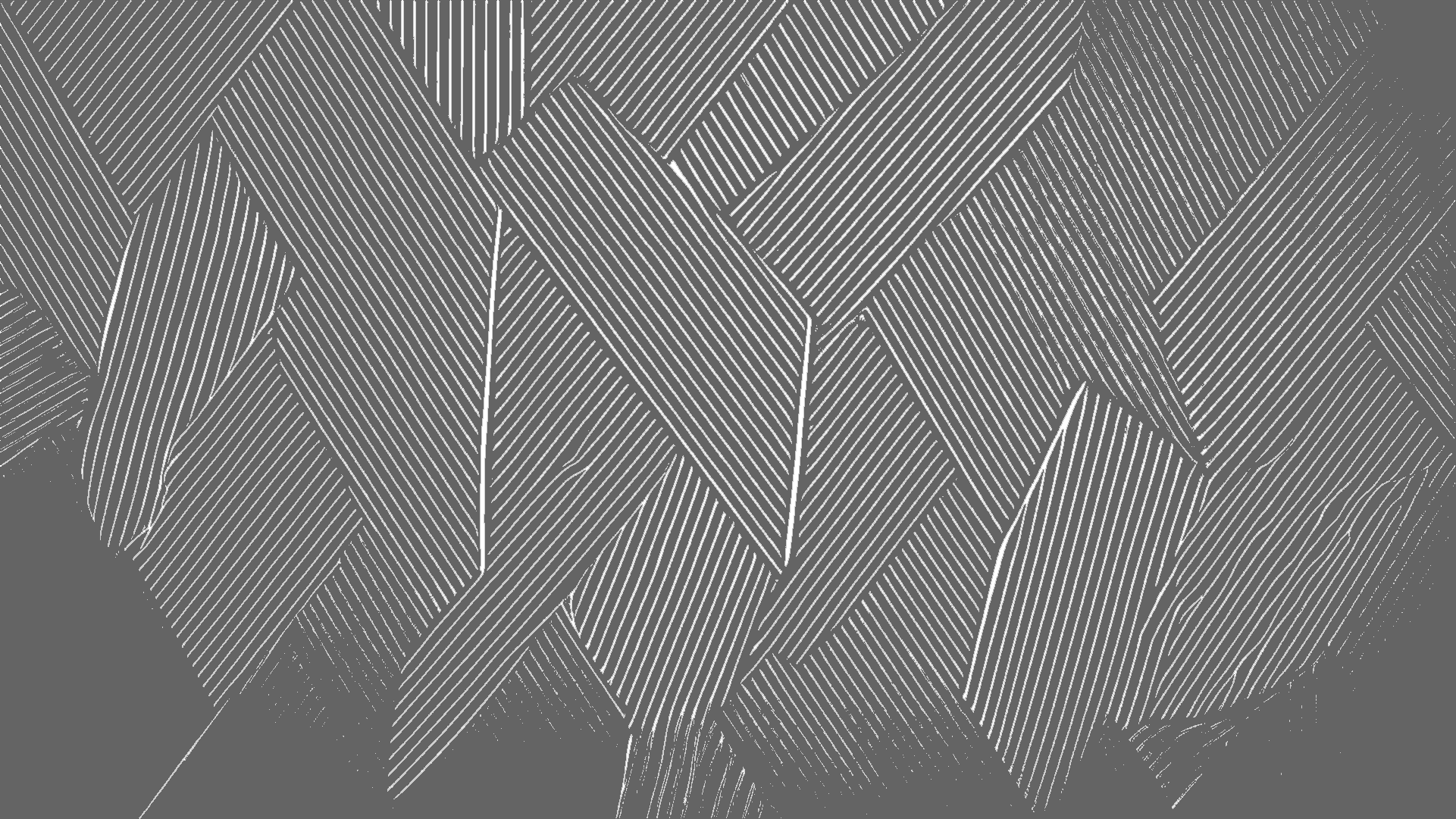 Science, Technology and Innovation Studies